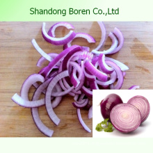 100%Nature Fresh Onion From China